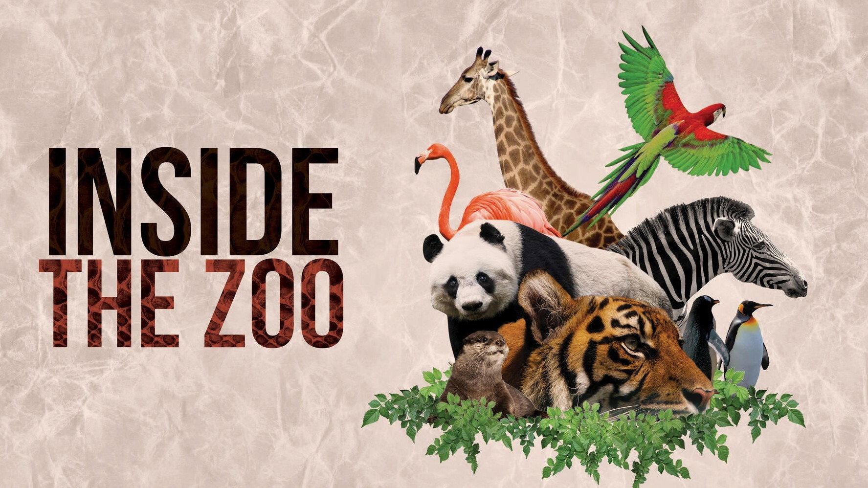 Inside The Zoo