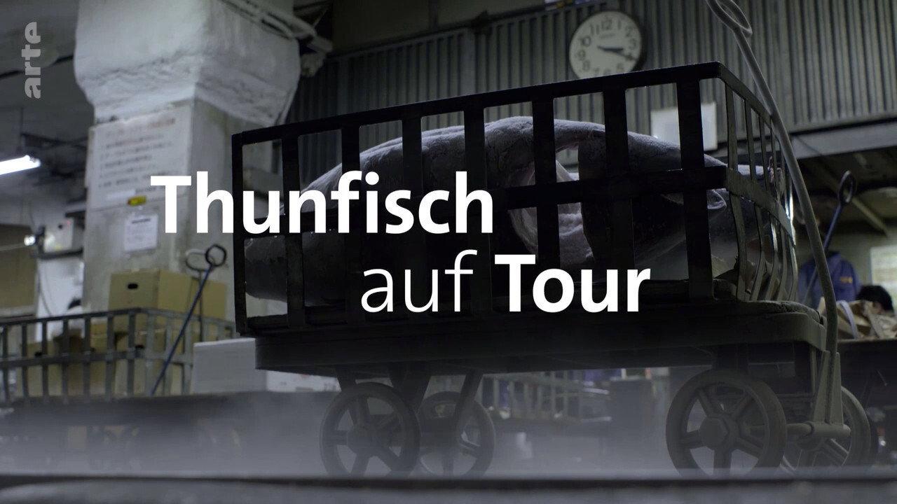 Tuna on Tour