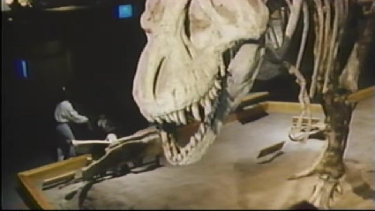 The Real Jurassic Park