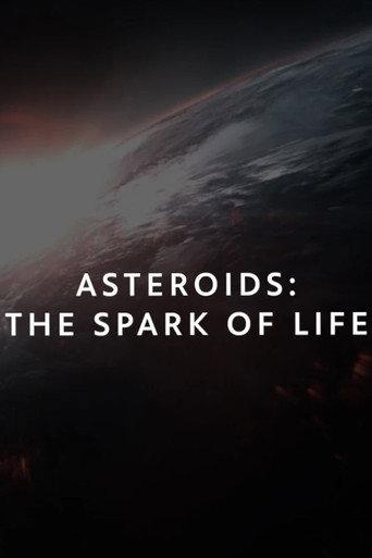 Asteroids: The Spark of Life?