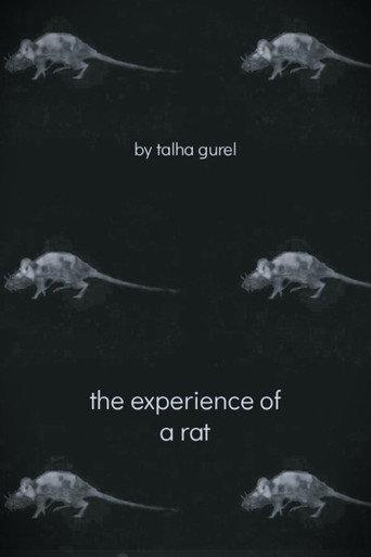 The Experience of a Rat