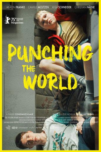 Punching the World