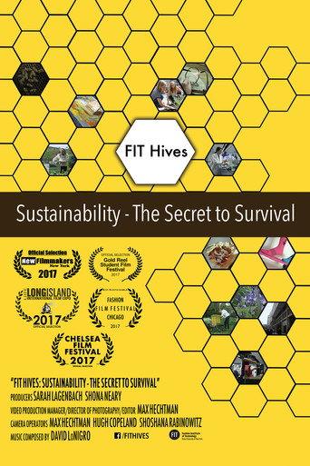 FIT Hives: Sustainability - The Secret to Survival